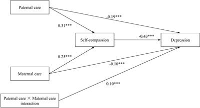 Perceived parental rearing styles and depression in Chinese adolescents: the mediating role of self-compassion